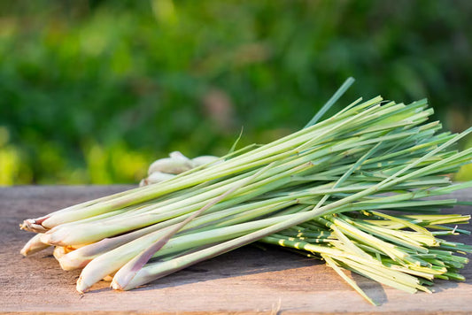 citronnelle bio