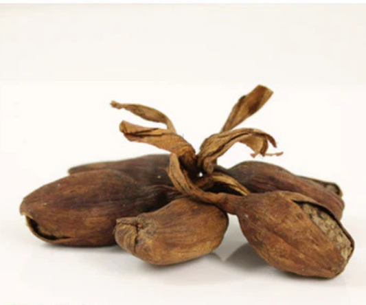 Mbongô Nwel - Maniguette gousse (Aframomum Citratum) 25g